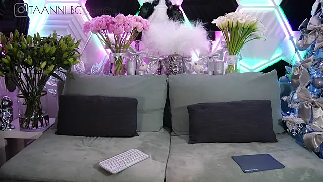 taanni bc online show from January 31, 2025, 12:28 am