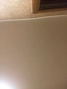 Snapshot of Prolisok473 chatting on January 30, 2025, 3:29 pm Prolisok473 online show from January 30, 2025, 3:29 pm