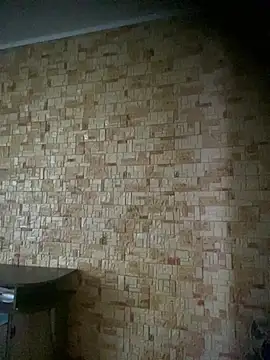 Snapshot of Prolisok473 chatting on February 28, 2025, 8:31 am Prolisok473 online show from February 28, 2025, 8:31 am