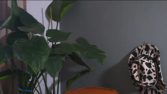 Snapshot of HairyRobxxx chatting on September 20, 2025, 10:05 am HairyRobxxx online show from September 20, 2025, 10:05 am