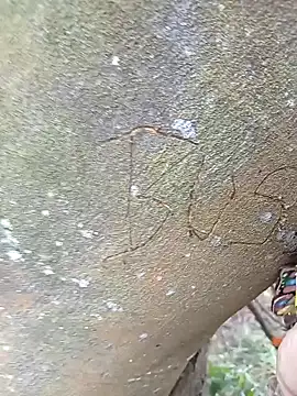 Snapshot of BELLA--26 chatting on February 2, 2025, 3:07 pm BELLA--26 online show from February 2, 2025, 3:07 pm