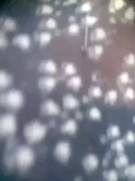 Snapshot of Amaya_Bajwa chatting on November 15, 2025, 4:32 am Amaya Bajwa online show from November 15, 2025, 4:32 am