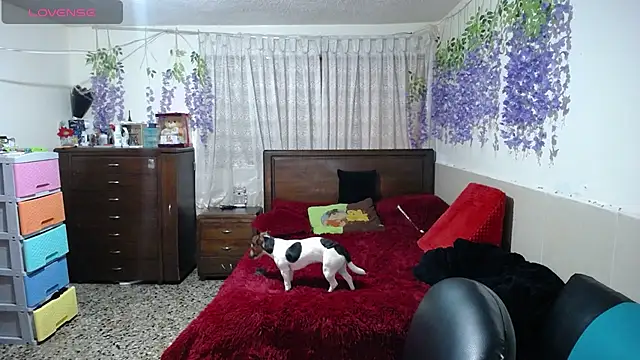 Snapshot of maryrose_03 chatting on February 4, 2025, 3:04 pm maryrose 03 online show from February 4, 2025, 3:04 pm
