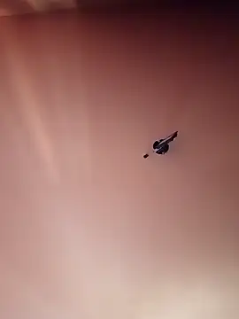 Snapshot of BR_master chatting on September 19, 2025, 10:16 am BR master online show from September 19, 2025, 10:16 am