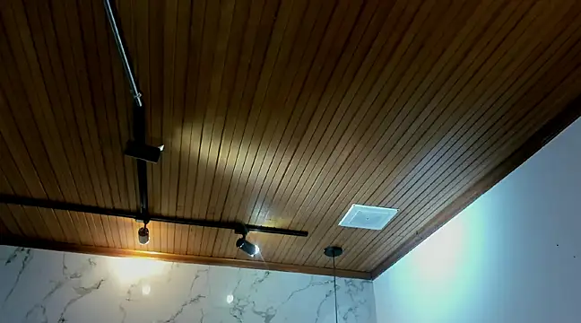 Snapshot of tim__fox chatting on February 9, 2025, 8:02 pm tim fox online show from February 9, 2025, 8:02 pm