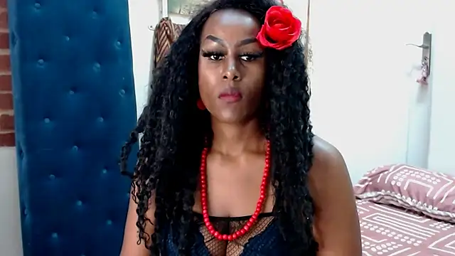 Snapshot of PEBBLES365 chatting on February 24, 2025, 8:38 am PEBBLES365 online show from February 24, 2025, 8:38 am