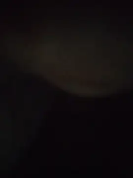 gawwalibhabhi 24 online show from December 1, 2025, 12:59 am