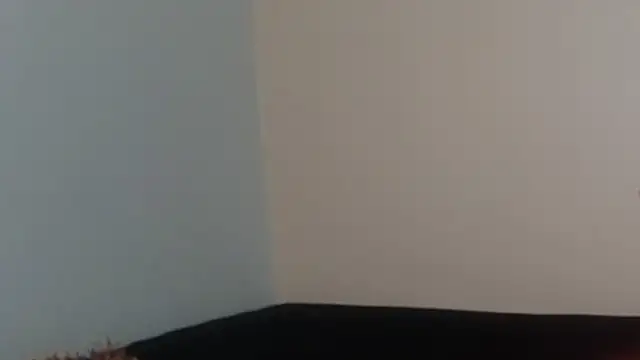 Snapshot of hairyncuteass chatting on February 13, 2025, 8:24 pm hairyncuteass online show from February 13, 2025, 8:24 pm