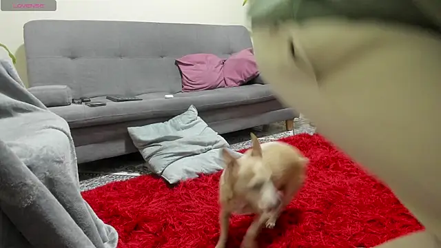 Salvatore costa online show from September 19, 2025, 12:34 am