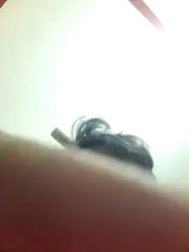 Marvelous Piyush online show from March 6, 2025, 8:19 am