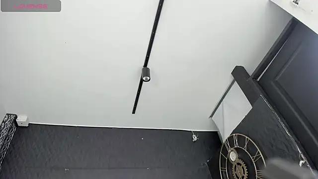 DalayMoore online show from November 16, 2025, 8:03 pm