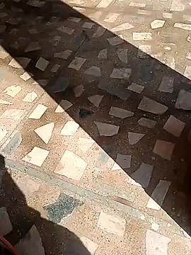 Snapshot of Raj41 chatting on November 13, 2025, 4:44 am Raj41 online show from November 13, 2025, 4:44 am