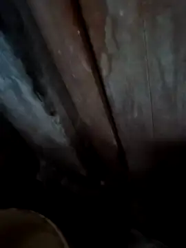 Snapshot of Raj41 chatting on November 28, 2025, 1:19 am Raj41 online show from November 28, 2025, 1:19 am