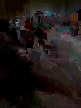 Snapshot of Ariba270 chatting on November 1, 2025, 9:55 am Ariba270 online show from November 1, 2025, 9:55 am