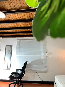 Snapshot of Hadley_ chatting on December 3, 2025, 3:14 am Hadley online show from December 3, 2025, 3:14 am