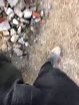 66MA69 online show from January 31, 2025, 5:32 pm