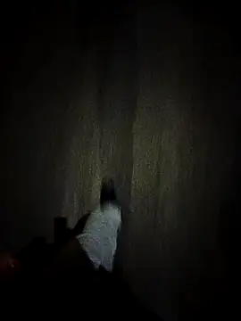 Snapshot of dominationmybigdick chatting on October 27, 2025, 9:30 pm dominationmybigdick online show from October 27, 2025, 9:30 pm