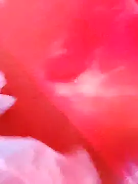 Snapshot of dominationmybigdick chatting on December 3, 2025, 9:51 am dominationmybigdick online show from December 3, 2025, 9:51 am