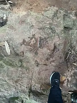 hotgirlpriya789 online show from October 19, 2025, 11:00 am