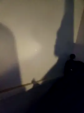 ShysluutGia online show from November 4, 2025, 11:42 am