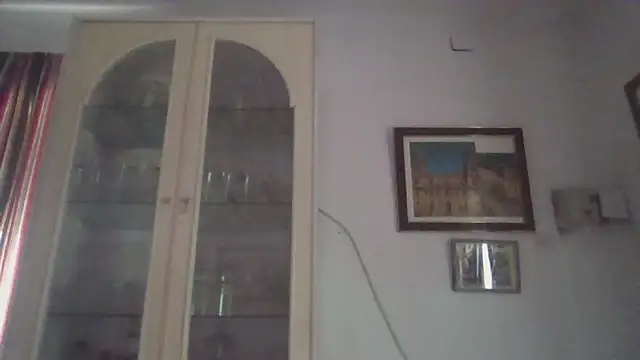 llopaco online show from November 17, 2025, 12:11 pm