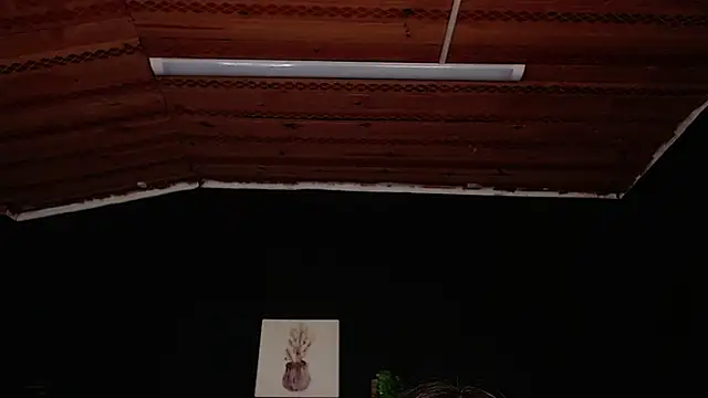 Snapshot of fyreandfox_ chatting on November 18, 2025, 6:56 pm fyreandfox online show from November 18, 2025, 6:56 pm