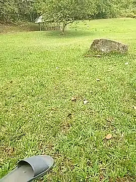 Mycansonhot online show from October 23, 2025, 4:50 pm