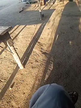 Delhi BoyBigcock online show from December 14, 2025, 2:50 am