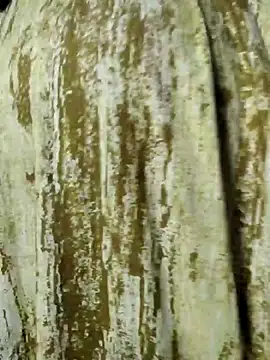 mens weakness online show from November 2, 2025, 6:49 am