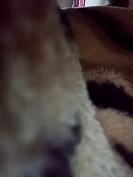 karabokau21 online show from September 26, 2025, 10:25 pm