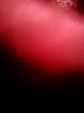 Snapshot of punam259 chatting on December 4, 2025, 2:32 am punam259 online show from December 4, 2025, 2:32 am