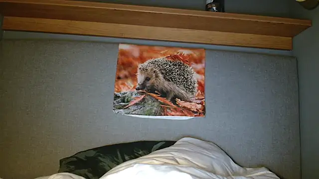 Snapshot of Saysay-7 chatting on October 5, 2025, 5:33 pm Saysay-7 online show from October 5, 2025, 5:33 pm