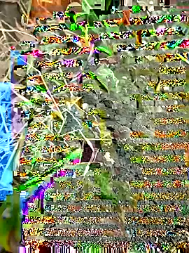 himvilohi08 online show from September 27, 2025, 12:32 pm