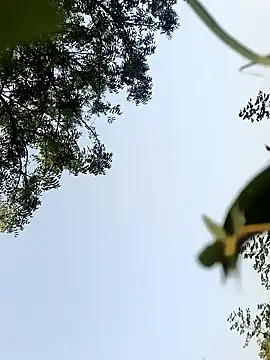 himvilohi08 online show from October 22, 2025, 10:26 am