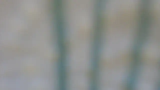 RobertaFox69 online show from December 6, 2024, 4:49 pm