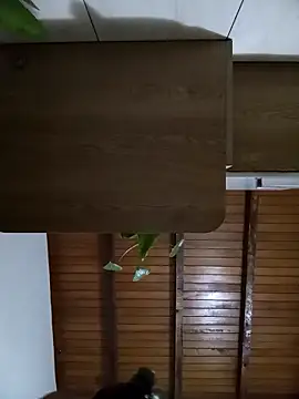 Sexi girl29 online show from October 2, 2025, 9:16 am