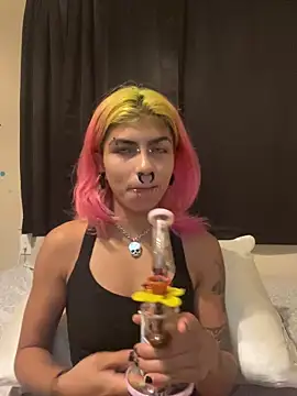 Harley cams online show from September 10, 2025, 12:43 am