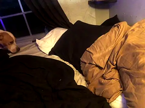 lilthicky352 online show from December 1, 2025, 12:15 am