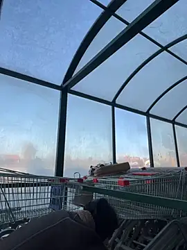 Snapshot of MiraReach chatting on October 15, 2025, 4:34 am MiraReach online show from October 15, 2025, 4:34 am