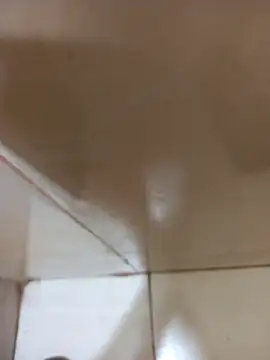 Snapshot of vboli08 chatting on October 24, 2025, 11:12 pm vboli08 online show from October 24, 2025, 11:12 pm