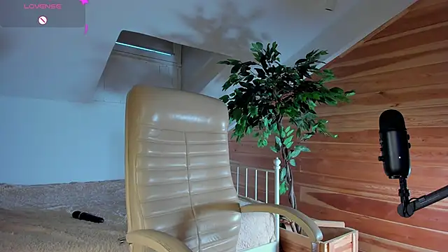 Snapshot of AuroraShoww chatting on November 20, 2025, 12:49 pm AuroraShoww online show from November 20, 2025, 12:49 pm