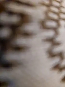 Snapshot of mojaymort chatting on November 11, 2025, 10:54 pm mojaymort online show from November 11, 2025, 10:54 pm