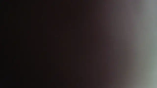 Snapshot of sacoa chatting on March 4, 2025, 11:29 am sacoa online show from March 4, 2025, 11:29 am