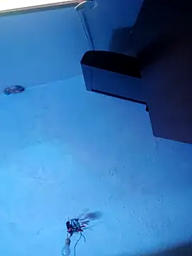 Snapshot of melisa_hot420 chatting on November 8, 2025, 8:25 am melisa hot420 online show from November 8, 2025, 8:25 am