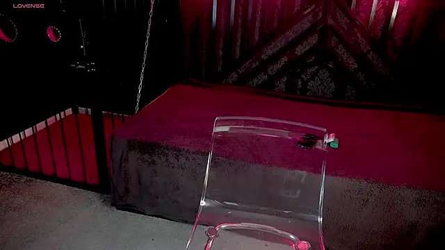 Snapshot of LiviaShy chatting on December 2, 2025, 2:45 pm LiviaShy online show from December 2, 2025, 2:45 pm