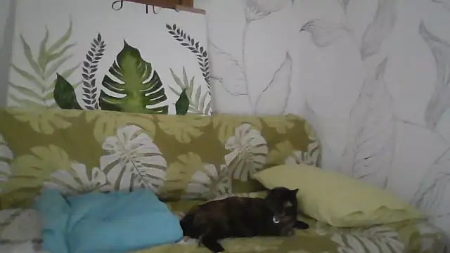 Snapshot of Catty_Lady chatting on September 27, 2025, 6:35 pm Catty Lady online show from September 27, 2025, 6:35 pm