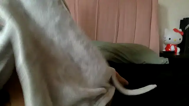 Snapshot of Akanett_cxtt chatting on October 11, 2025, 8:51 pm Akanett cxtt online show from October 11, 2025, 8:51 pm