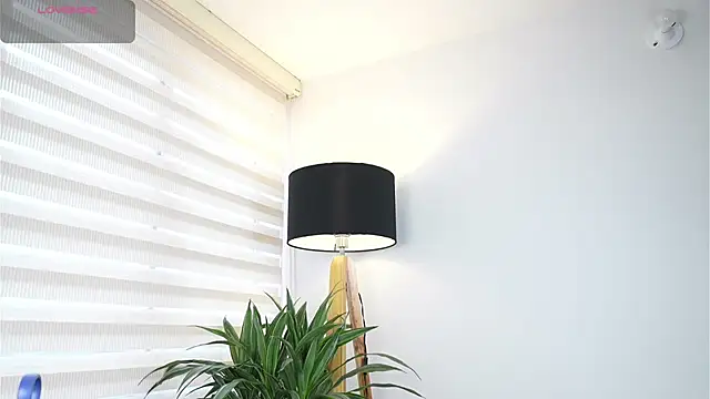 DeusbelliS online show from October 14, 2025, 8:31 pm