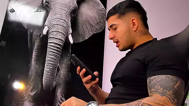 king falconer online show from October 28, 2025, 3:10 am