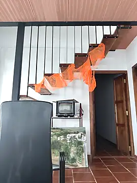 Hiroshi Shen online show from November 2, 2025, 12:07 pm